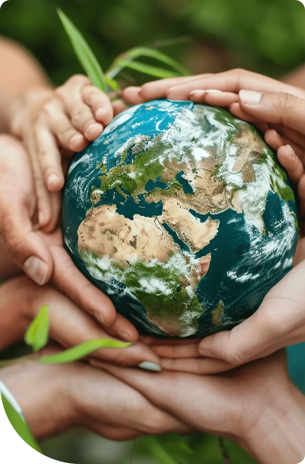 How We Can Help